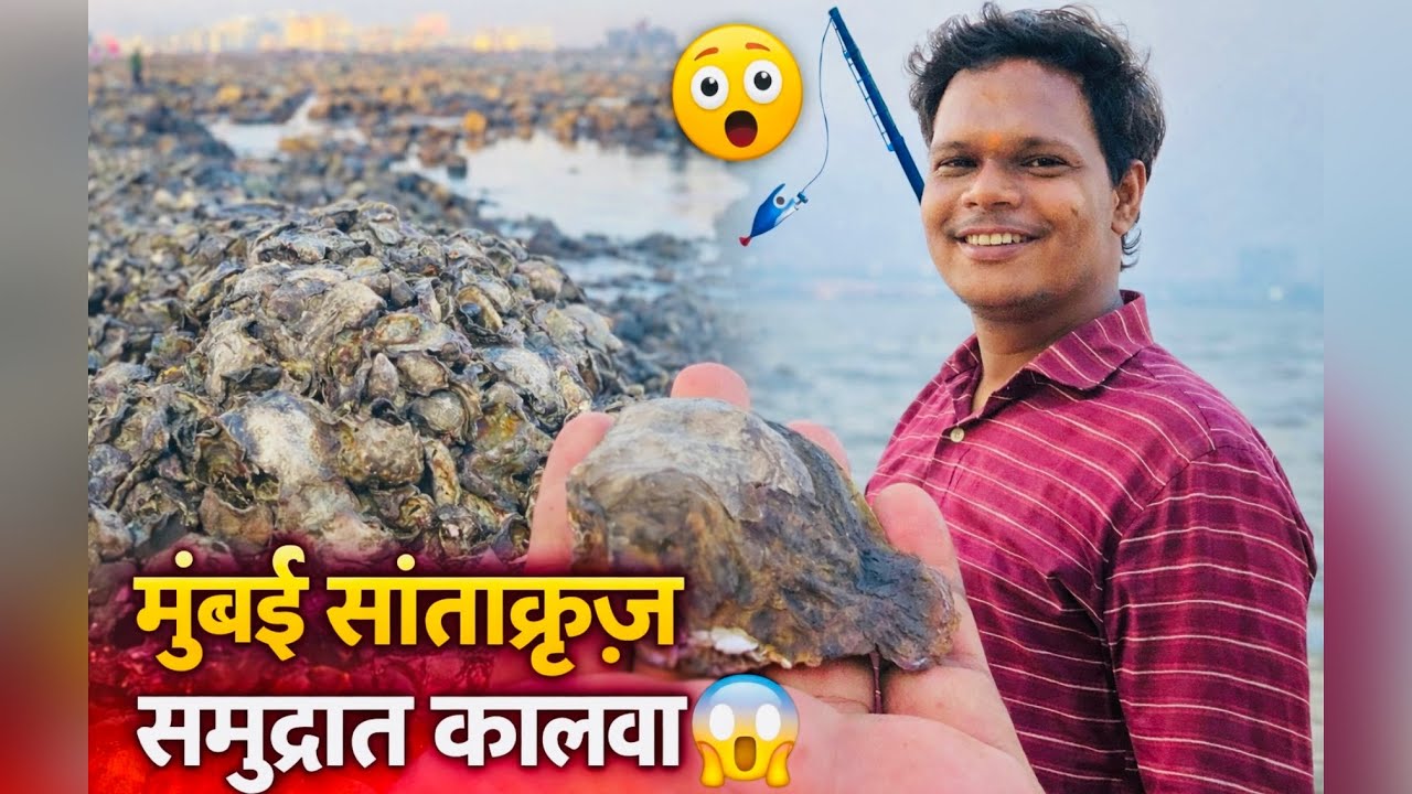 मुंबई सांताक्रूझ समुद्रात कालवा 😱🎣