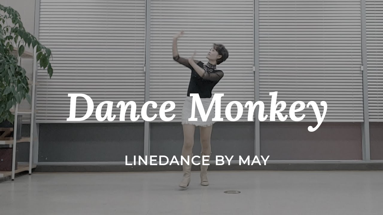 Dance Monkey Line Dance (Beginner : Alison Johnstone) -  Demo & Count