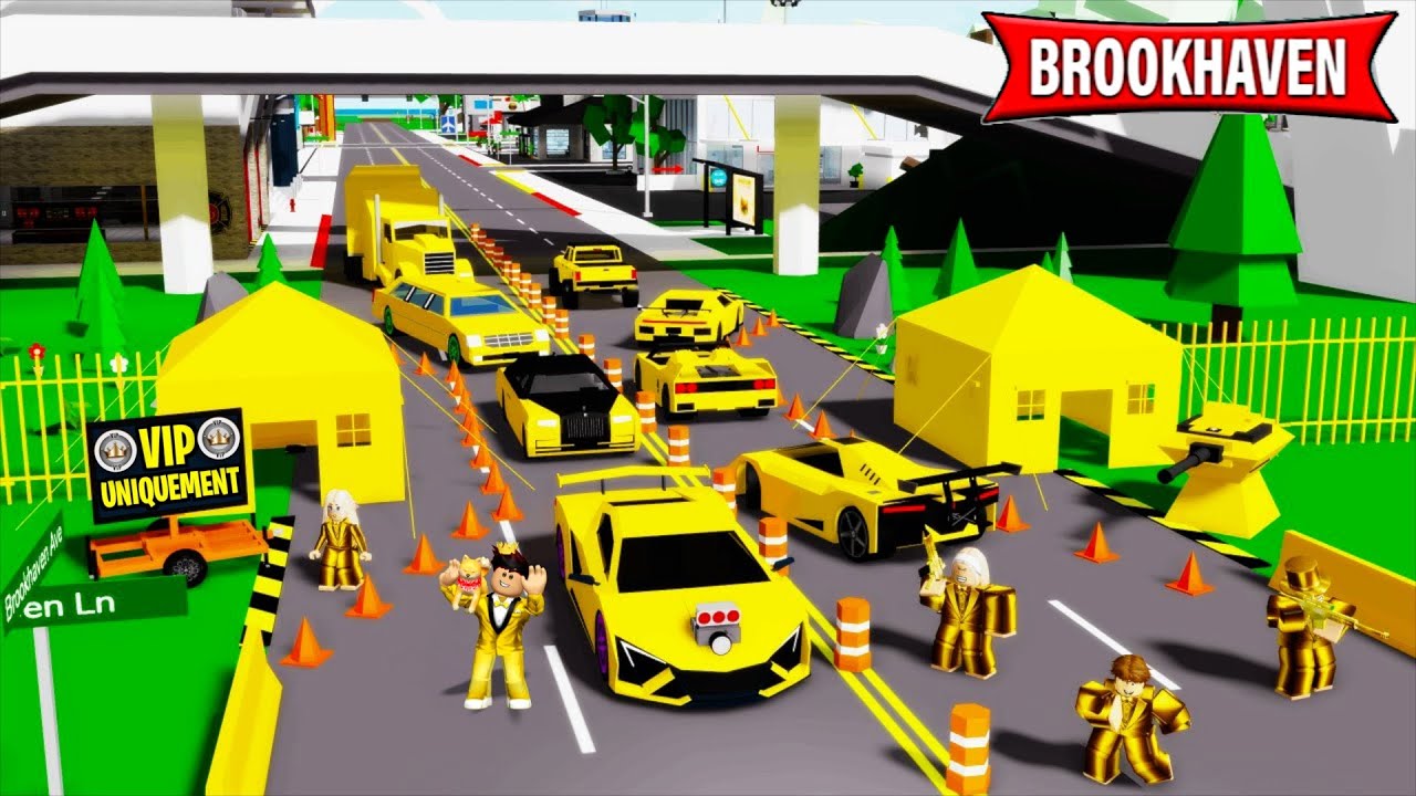 Surveiller La Plus Grande FRONTIÈRE VIP de BROOKHAVEN RP Roblox…