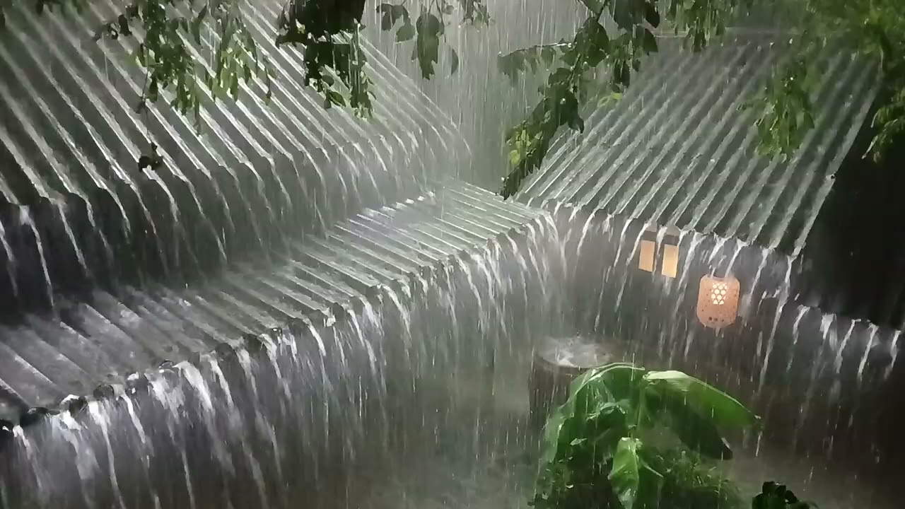 Relieve Insomnia with Heavy Rain, Wind, and Rolling Thunder on Metal Roofing