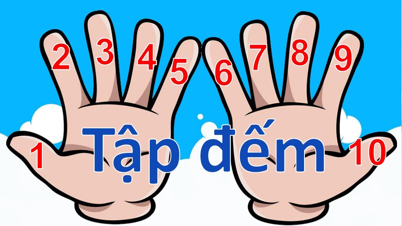 Tập đếm ngón tay / Dạy bé học đếm số từ 0 đến 10 với các ngón tay trên 2 bàn tay - Thanh nấm