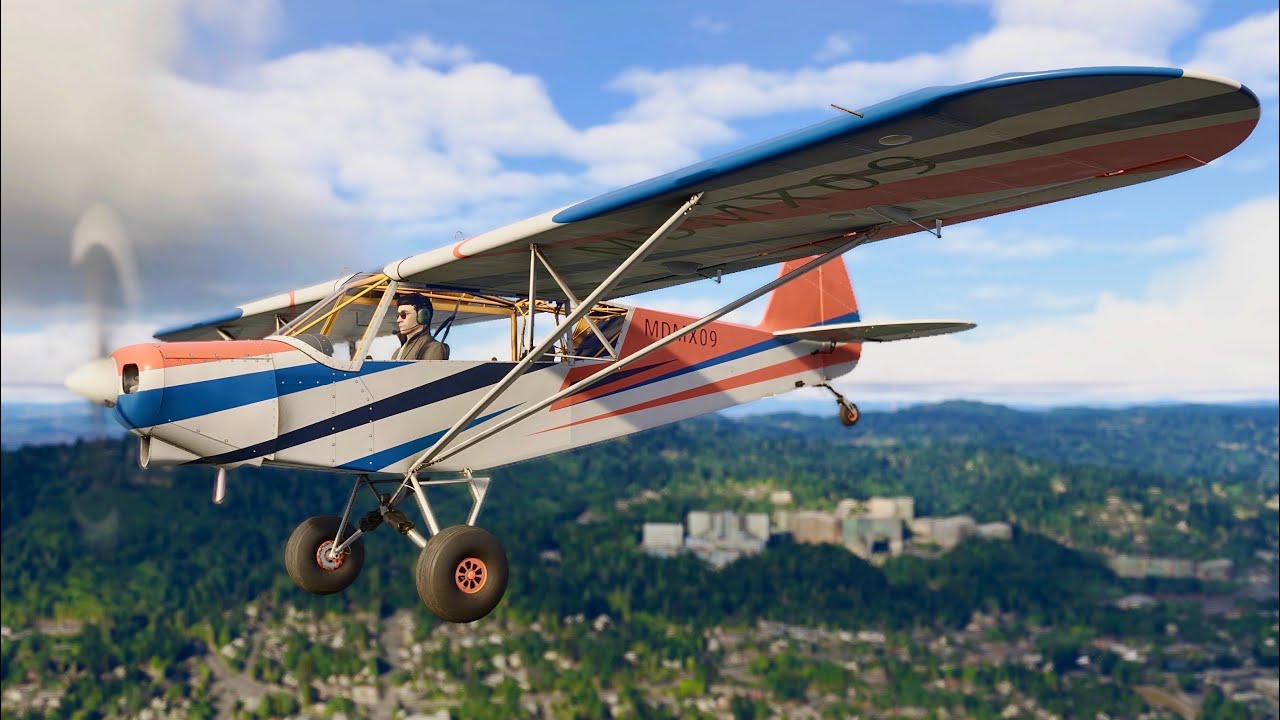 Microsoft Flight Simulator 2024-Insurance Money (PS5)