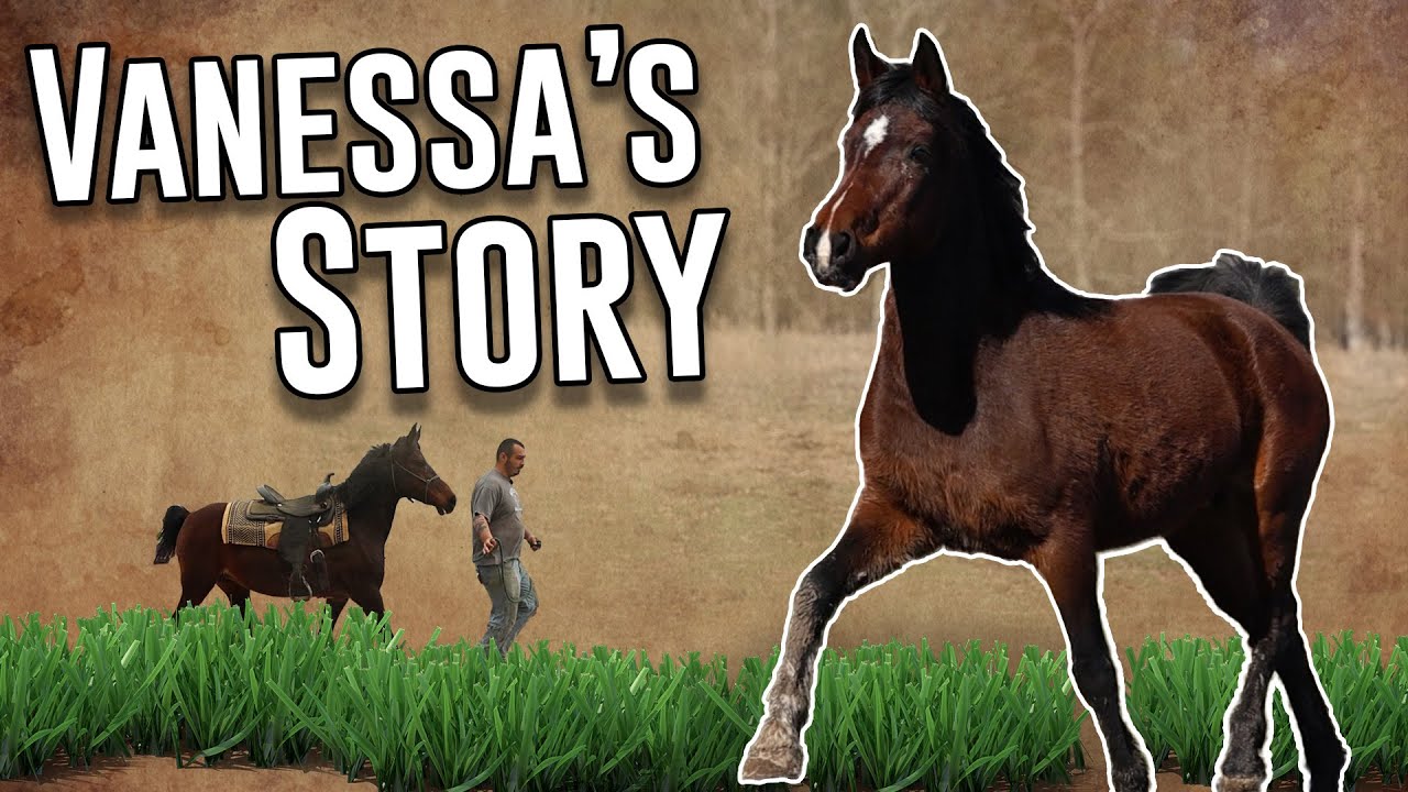 Vanessa's Story