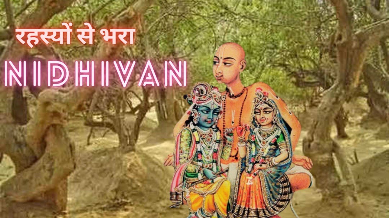 NidhiVan Mystery : Lord Krishna Miracle place. यहां आज भी गोपियों संग हैं श्रीकृष्ण और राधारानी