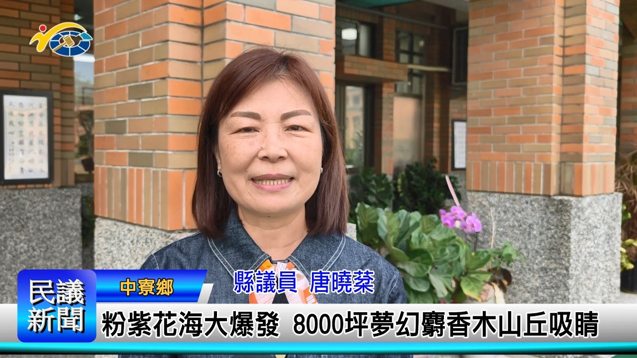 1150226 南投縣議會 民議新聞 粉紫花海大爆發 8000坪夢幻麝香木山丘吸睛 (縣議員 唐曉棻)
