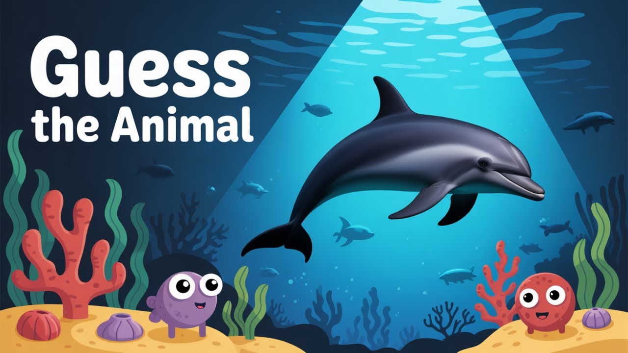 Can You Guess the Ocean Animal by Its Shadow?