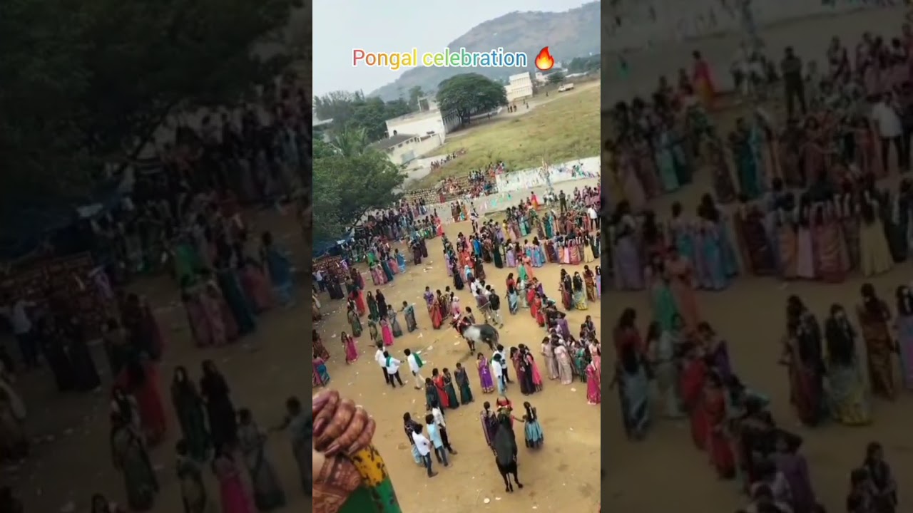 Salem sowdeswari women's college Pongal celebration 2k26🔥💥