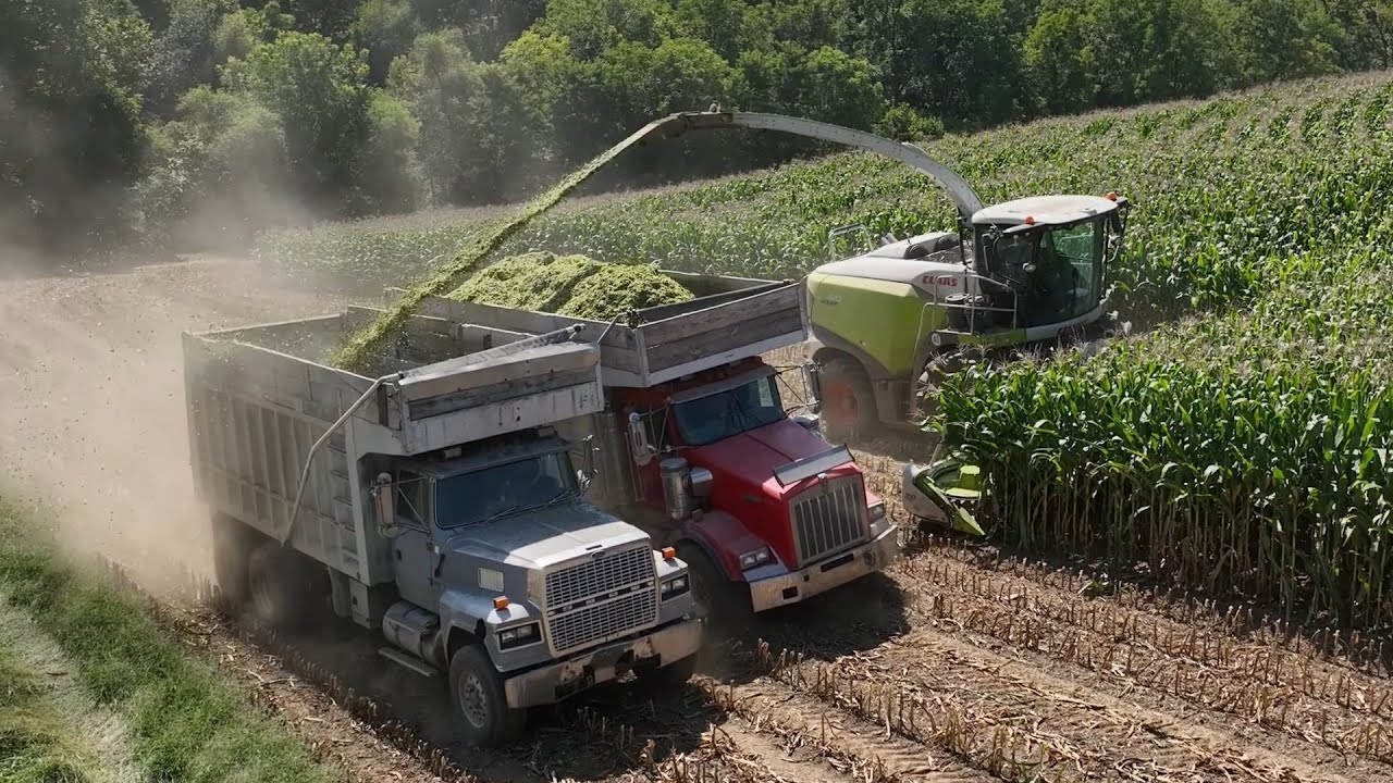 Rohrer Dairy Farms Fall 2024
