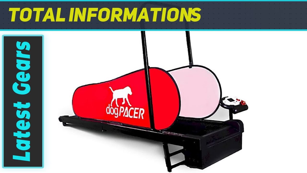 dogPACER LF 3.1 Treadmill: Best Fitness Solution for Your Dog