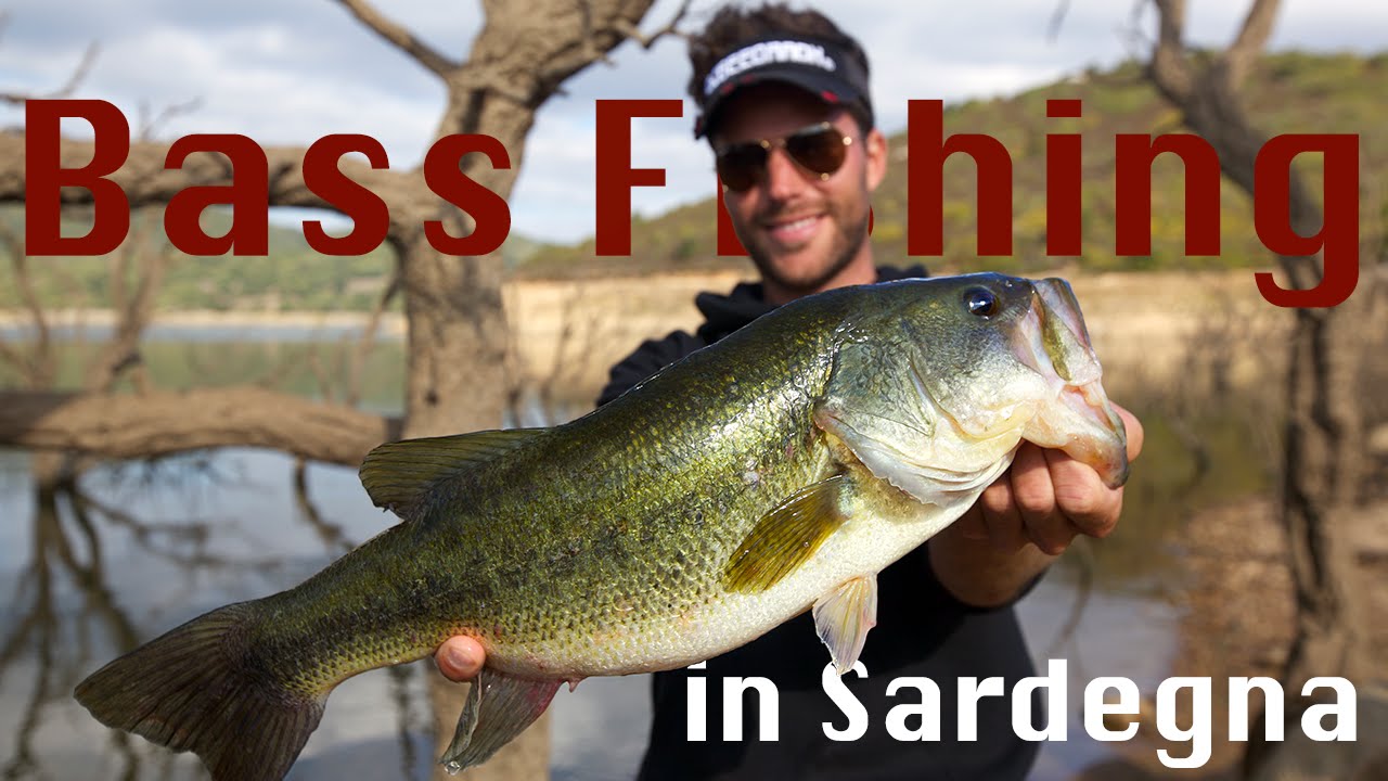 Bass Fishing in Sardegna