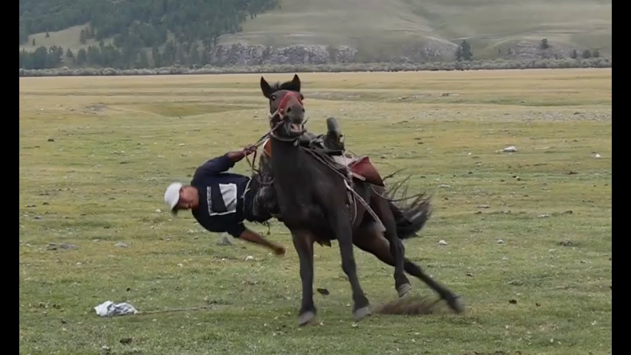 Mongolei Reiterspiele, Pferde fangen und zureiten.