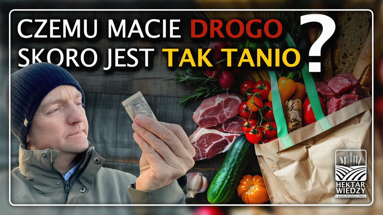 CZEMU MACIE DROGO SKORO JEST TAK TANIO? | Hektar Wiedzy