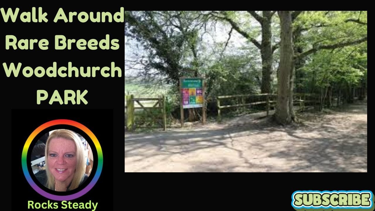 🦊 Out & About Walk Through The Rare Breeds Centre Park Woodchurch 🐿