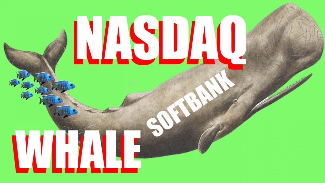 Softbank Is The NASDAQ Whale: Can Buying Call Options Cause A Stock Market Crash?