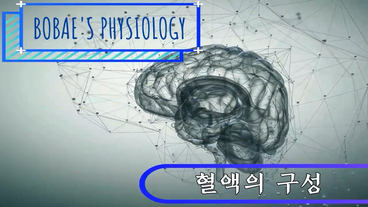생리학 - 혈액의 구성