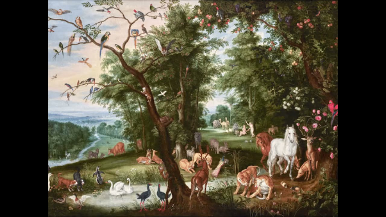 Saint-Sa&euml;ns: Carnaval des animaux [Barry Wordsworth]