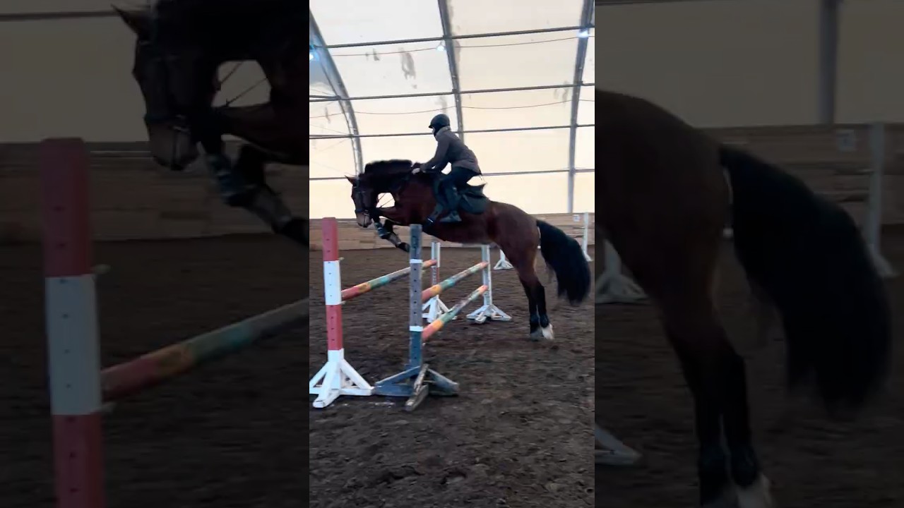 Винстон пробует новую связку барьеров💪🏻