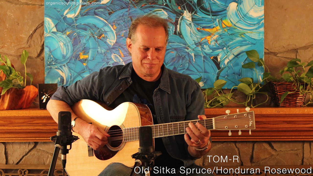 Guitar Comparison -  Huss and Dalton TOM-M Custom and TOM-R Custom
