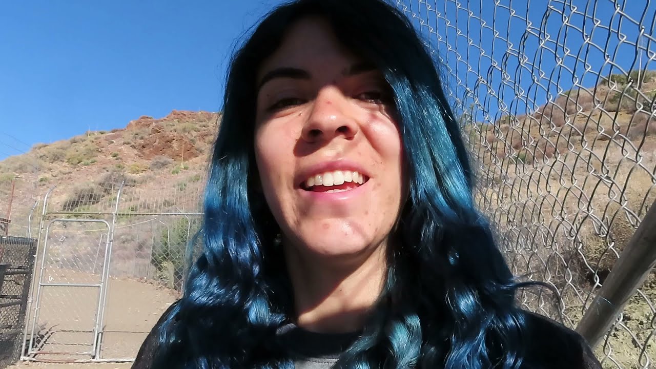 Work at a Wolf Sanctuary || December Vlog 1