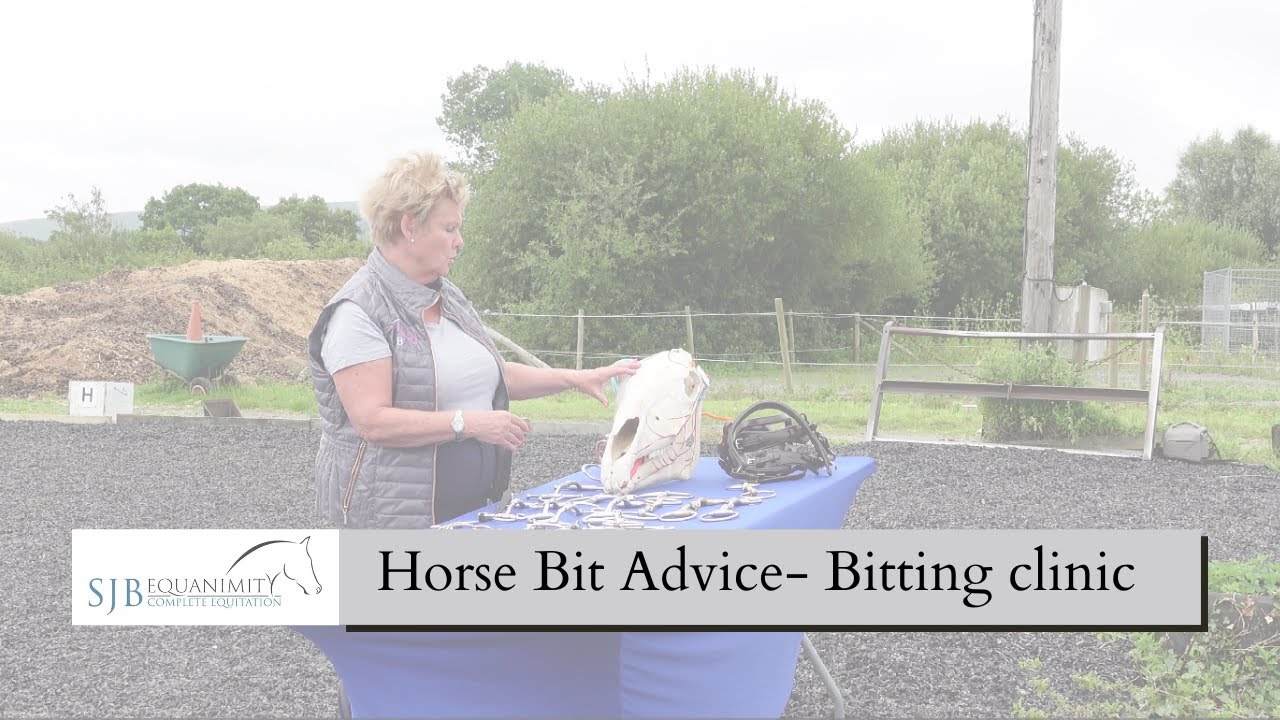 Horse Bit Advice with Gill Batt | SJB Equanimity