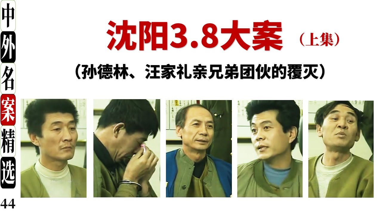 沈阳3.8大案   (上集） 亲兄弟团伙作案内情