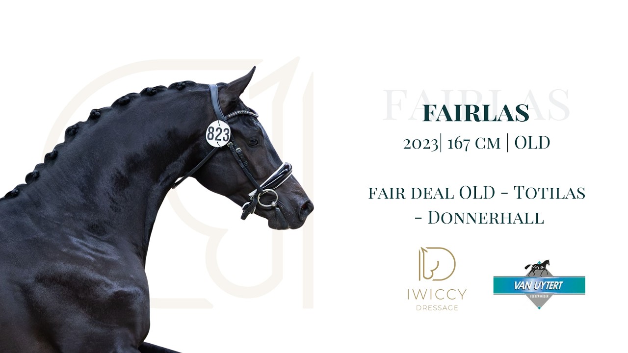 Iwiccy Stallions 2026: Fairlas (Fair Deal OLD - Totilas)