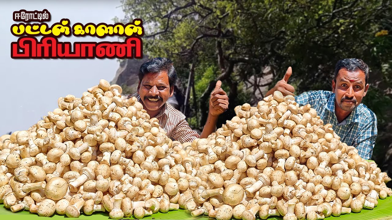 ஈரோட்டில் பட்டன் காளான் பிரியாணி | Mushroom Biryani | How To Make Mushroom Biryani in tamil