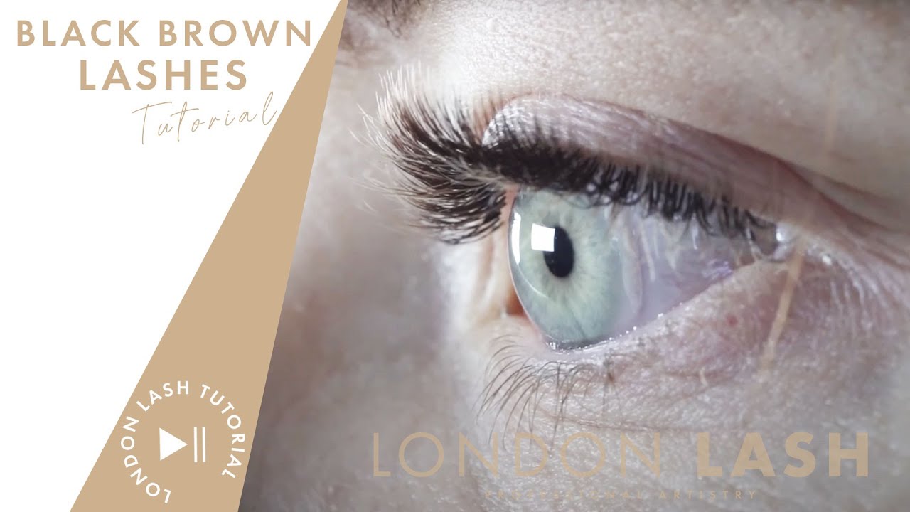 Lash With Me: Black Brown Light Volume Lash Set
