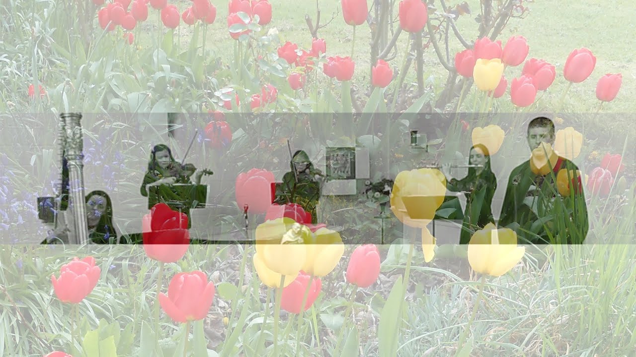 Vox Hiberniae - Súile an Choilm/Eyes of the Dove (Ronan McDonagh)