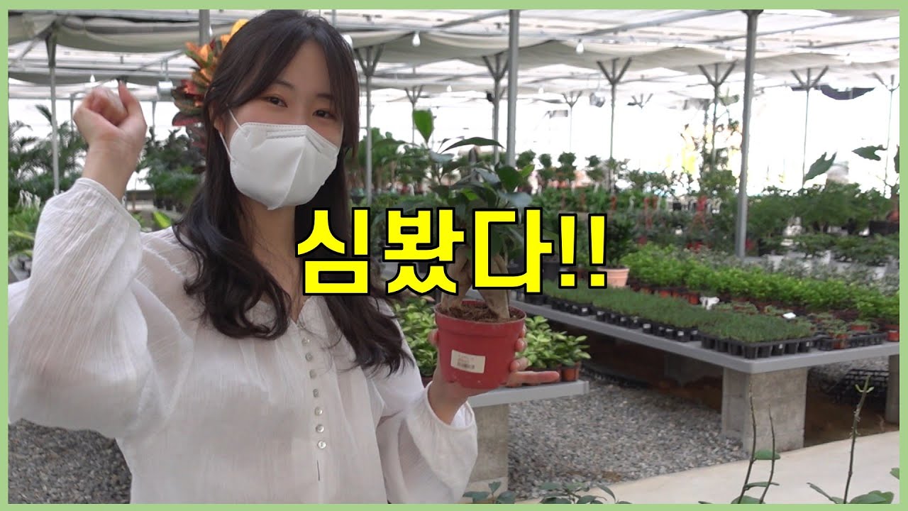 1만원 이하 식물과 토분 잔뜩?!✨ 신상 식물아울렛 다녀왔어요🌿 랜선 식물쇼핑 with ME