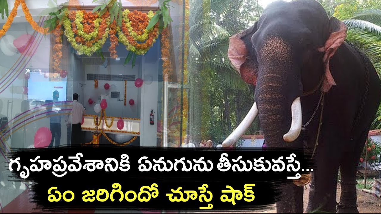 Elephant Brought To House Warming Tramples Them In Kerala |Tollywood Nagar