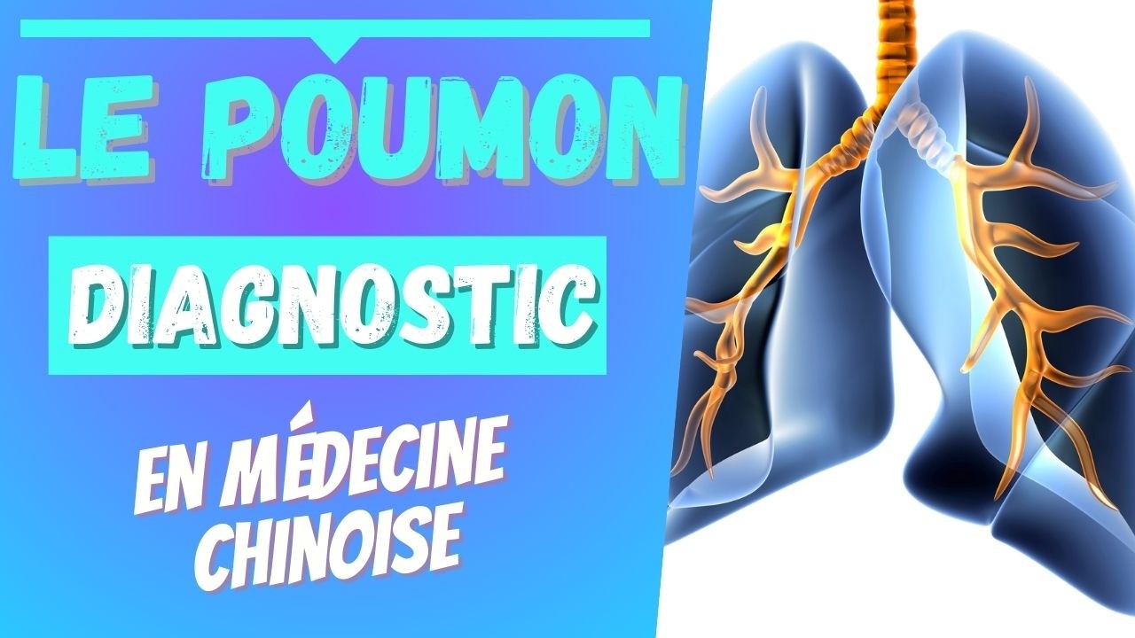 Diagnostic en médecine chinoise : interrogatoire sur le Poumon.      #medecinechinoise