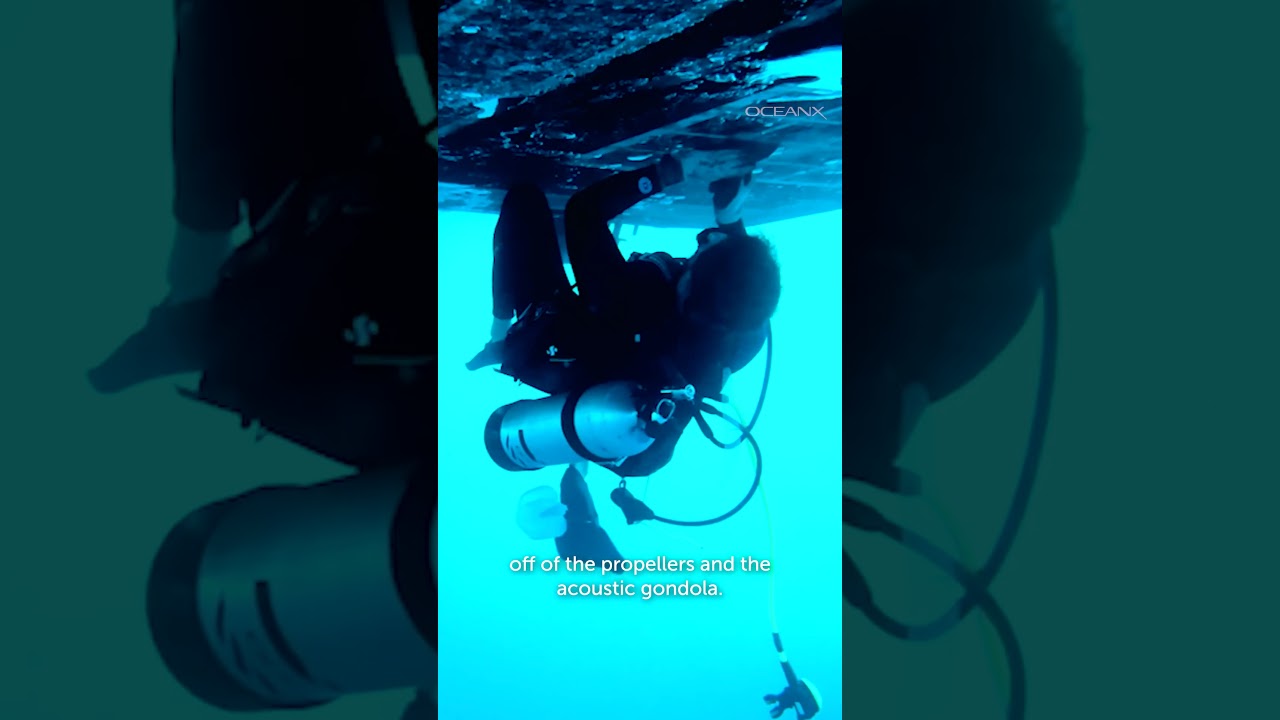 Hull Cleaning At Sea