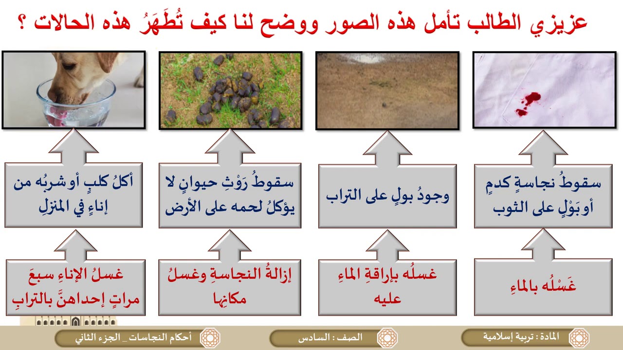 الصف السادس   التربية الإسلامية   أحكام النجاسات ج2