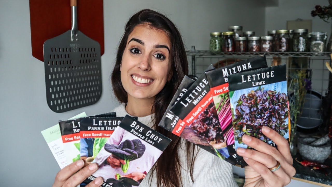 Starting Lettuce Seeds for the Spring Garden // 2023 | Mari's Garden and Kitchen