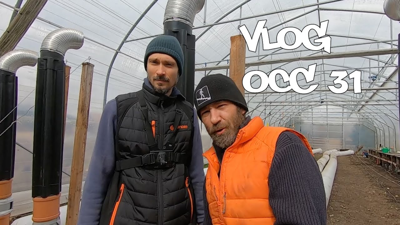 Vlog odc. 31 Maliny & Ost- Oya (olla) w uprawach pod osłonami - zakładanie plantacji owoc&oacute;w BIO
