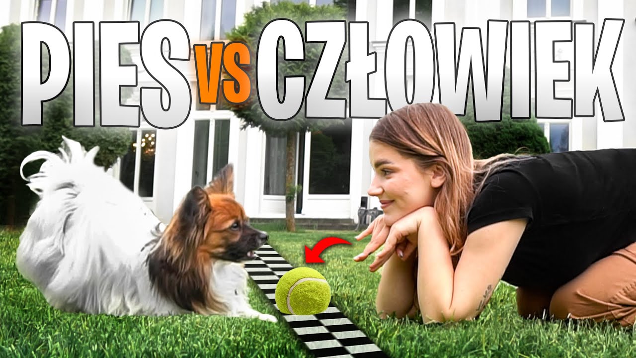CZY JESTEM SPRYTNIEJSZA OD MOICH PSÓW?