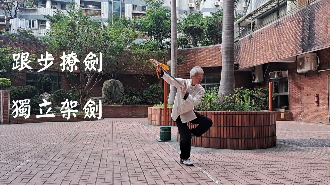 玄武養生入門太極劍(附規格)