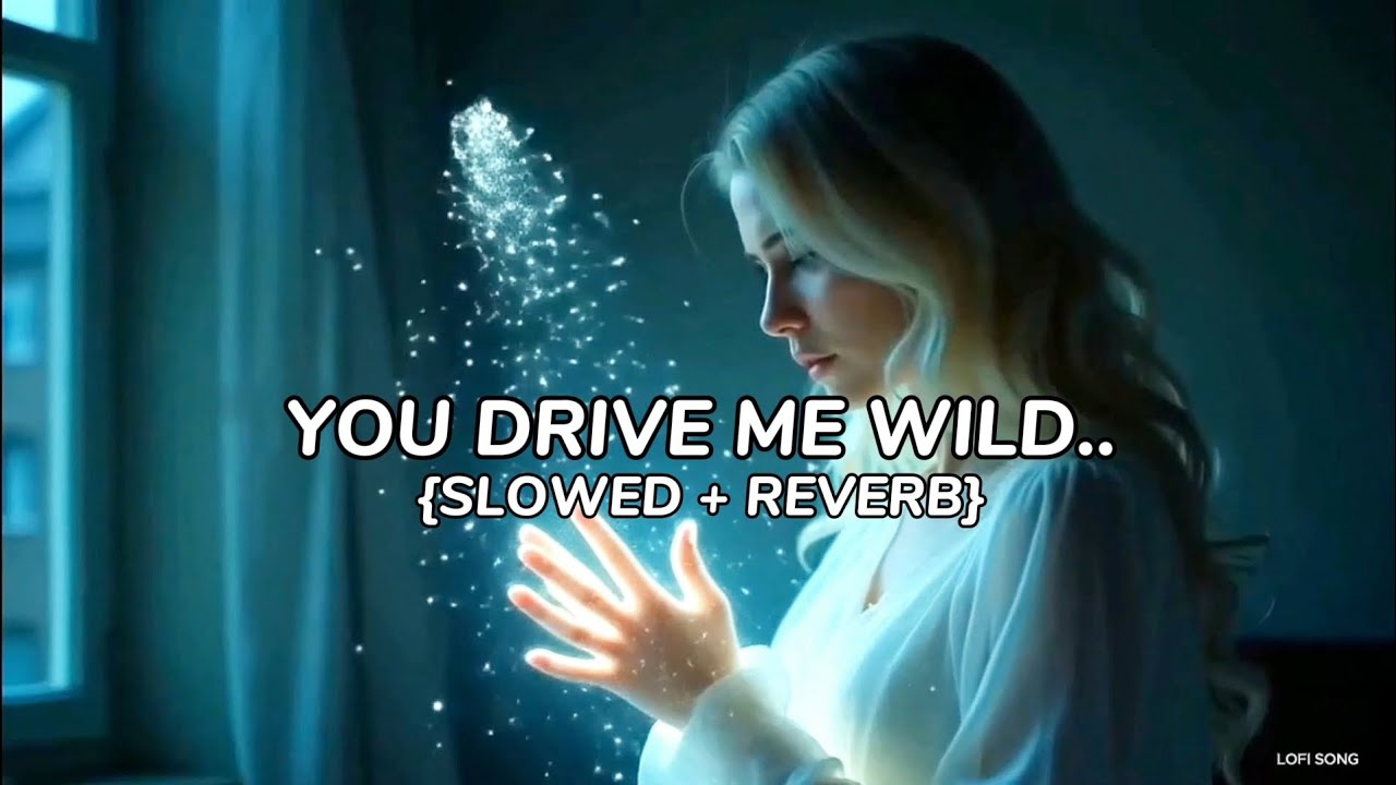You Drive Me Wild.. ||Slowed + Reverb|| Official Lofi songs