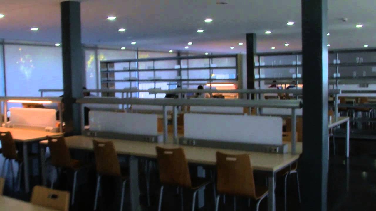 Grado en Ingenier&iacute;a Telem&aacute;tica