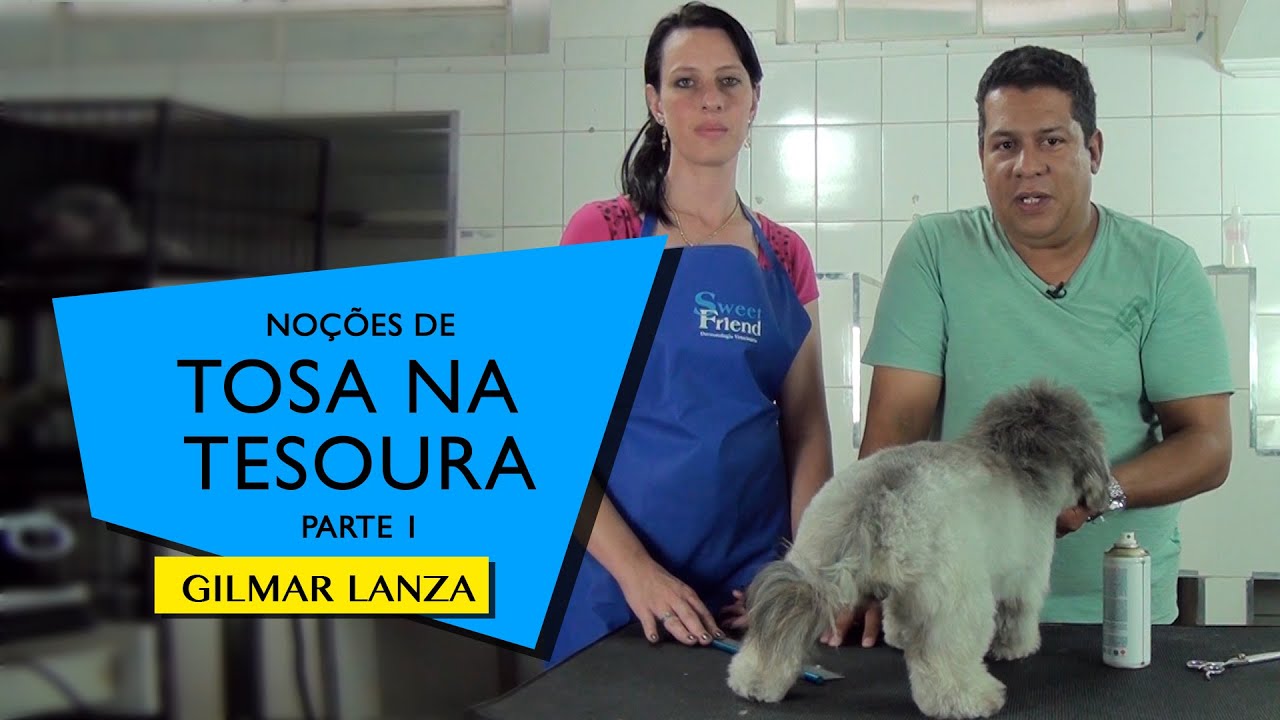 Tosa na Tesoura - Parte 1