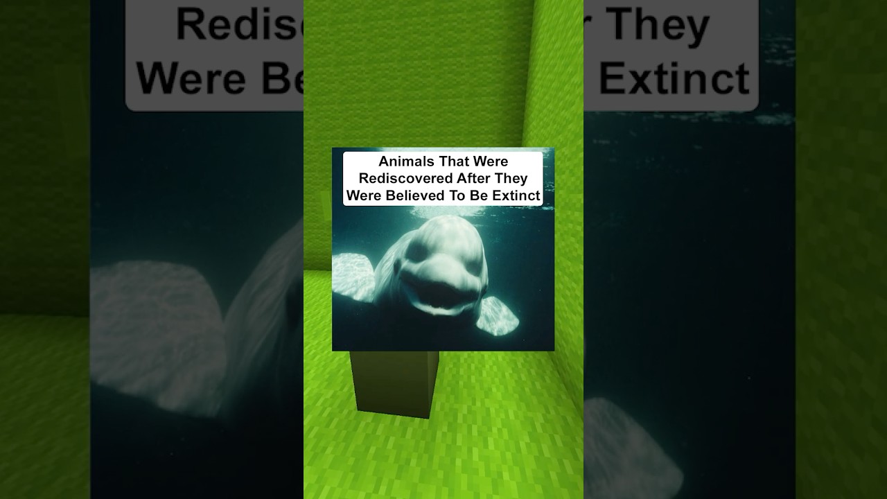 Animals That Were Rediscovered After They Went Extinct