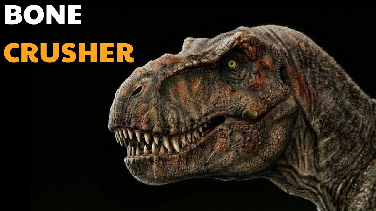 How New Discoveries Rewrote the Legend of the T-Rex ?