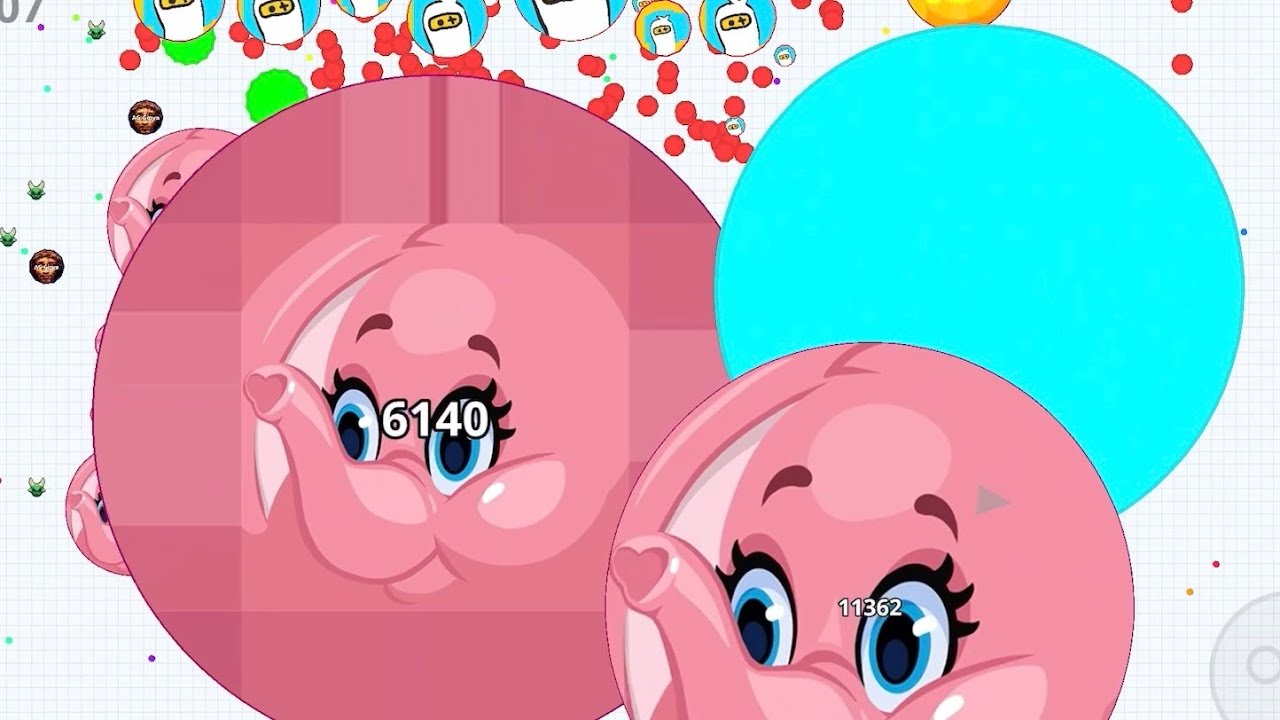 50% SOLO 🐘 - (AGARIO MOBILE)