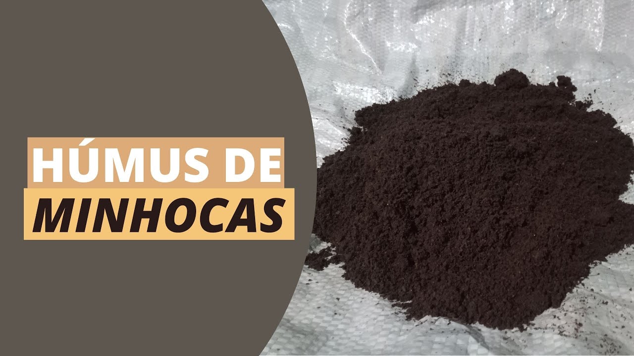 COMO PRODUZIR HÚMUS 100% PURO COM ESTERCO BOVINO
