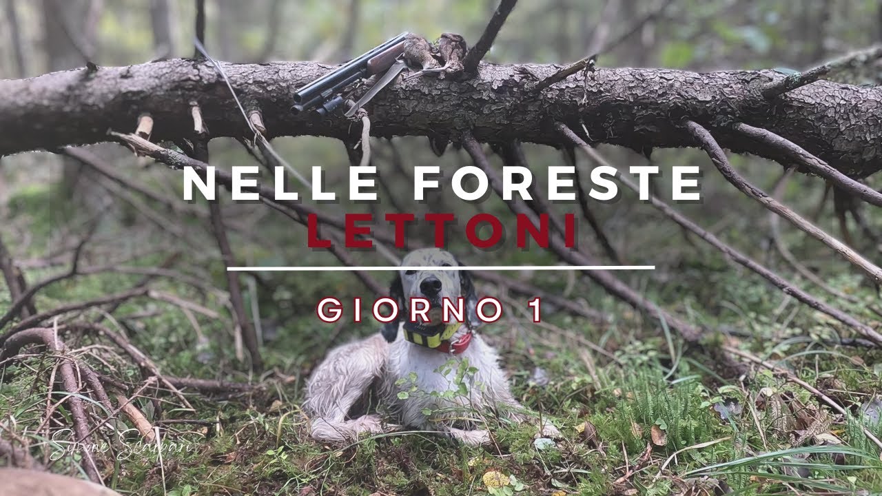 Caccia alla beccaccia nelle foreste Lettoni (2023) - Giorno 1 | PRIMI APPROCCI