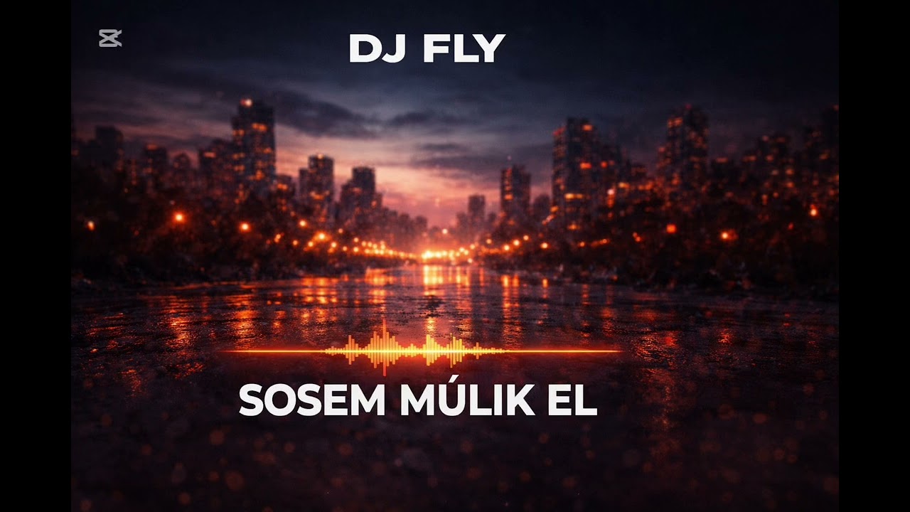 DJ FLY - SOSEM MÚLIK EL (cover)