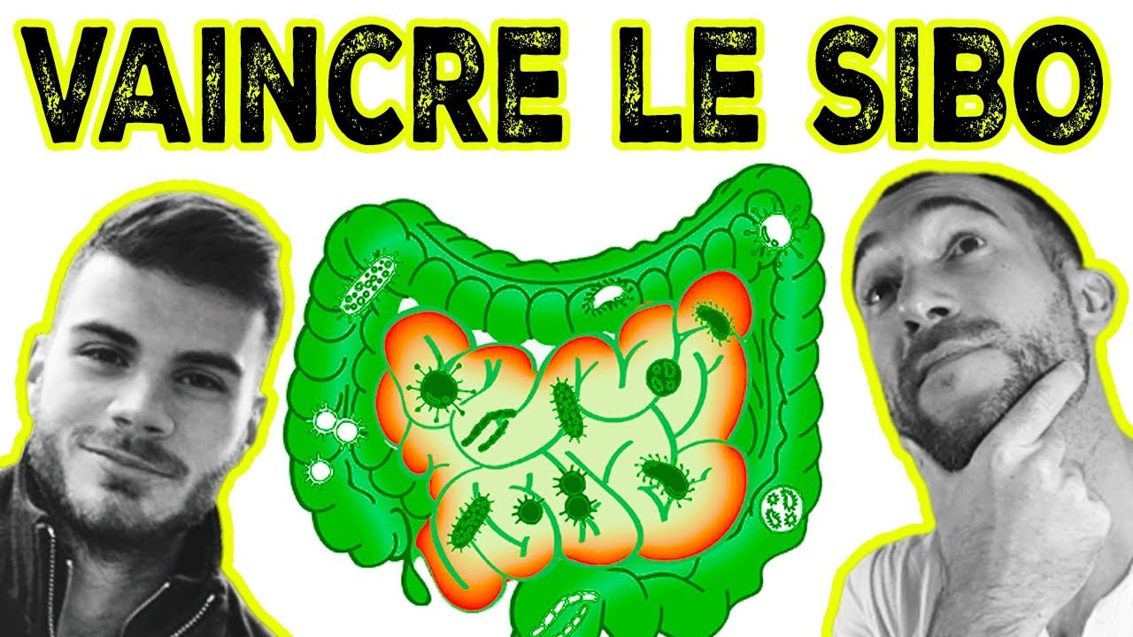 Vaincre le SIBO : SYMPTÔMES et TRAITEMENTS NATURELS