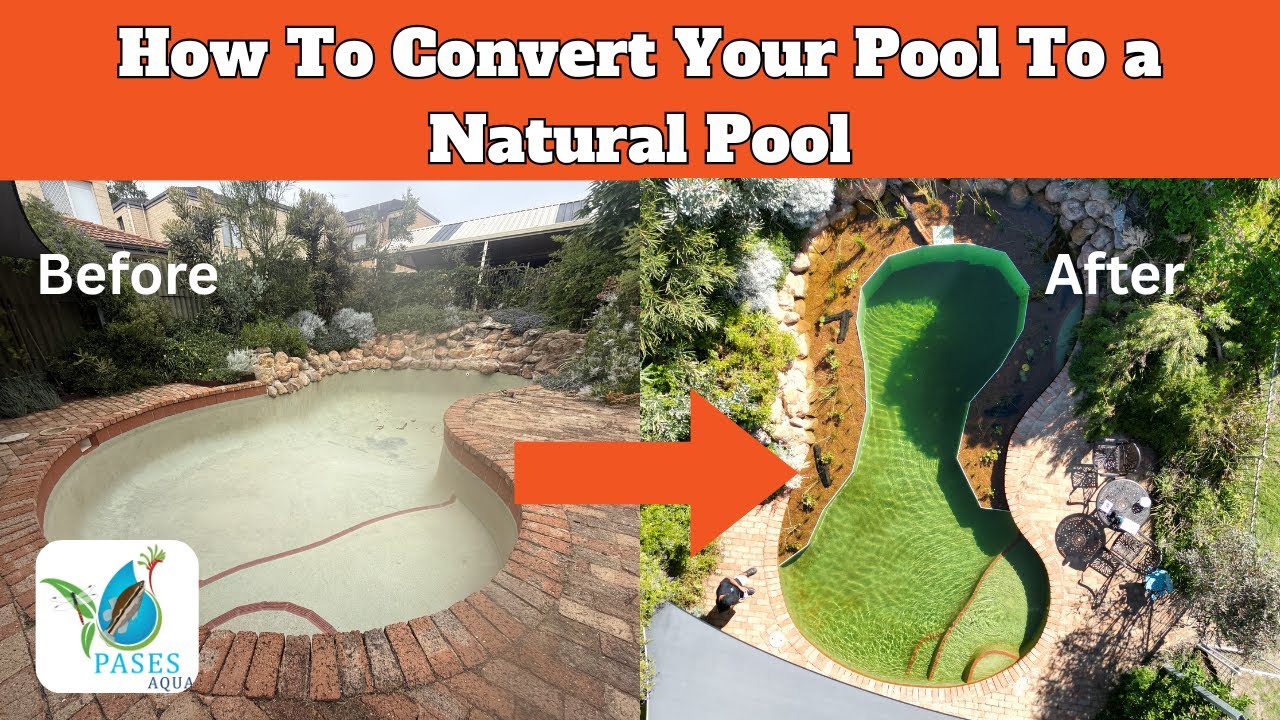 How To Convert Your Pool To a Natural Pool