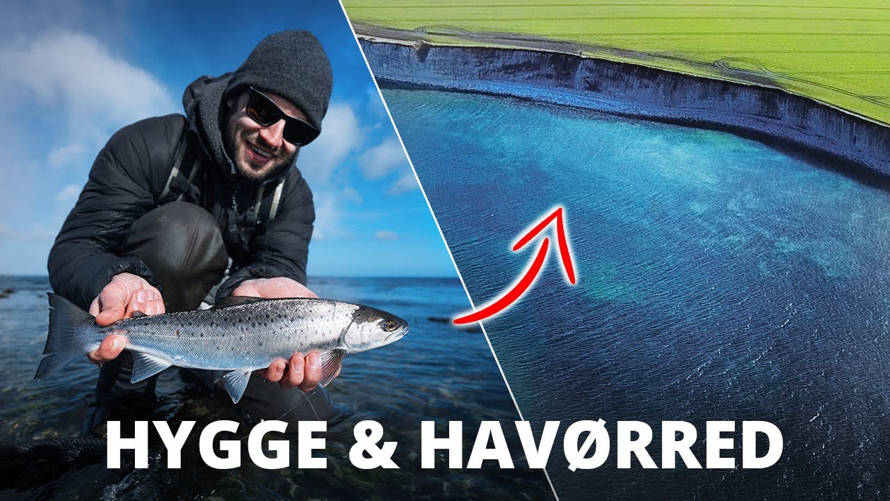 Forår, Krondyr Bolognese Og Havørredfiskeri - Hygge Og Havørred!
